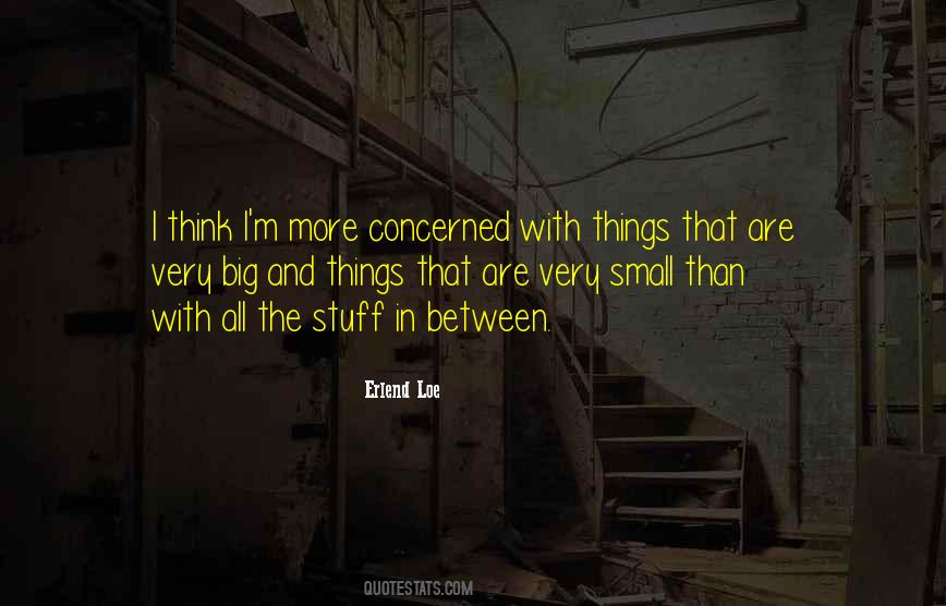 Quotes About Small Things In Life #1214053