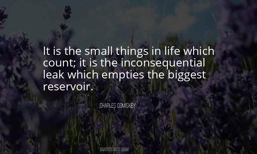Quotes About Small Things In Life #1454442