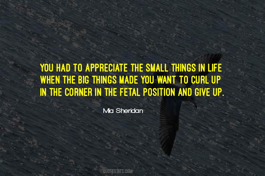 Quotes About Small Things In Life #1487273
