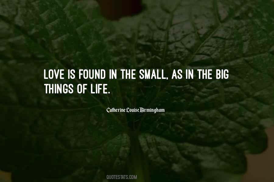 Quotes About Small Things In Life #1642034