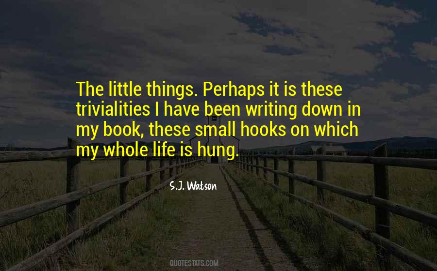 Quotes About Small Things In Life #166779