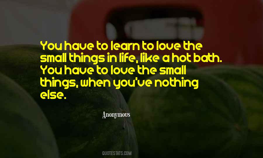Quotes About Small Things In Life #613745