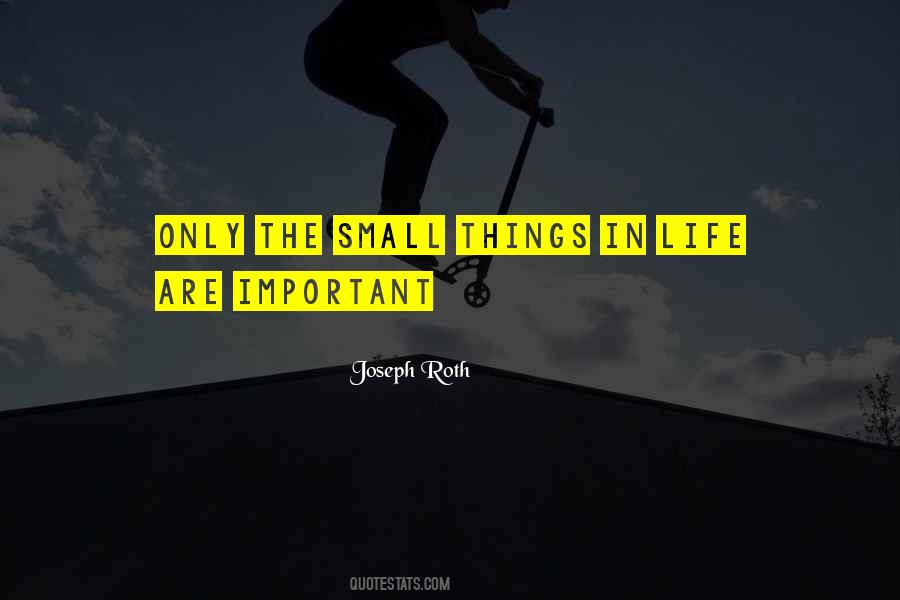 Quotes About Small Things In Life #895381