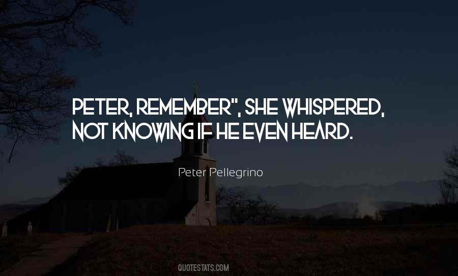 Pellegrino Quotes #1328211