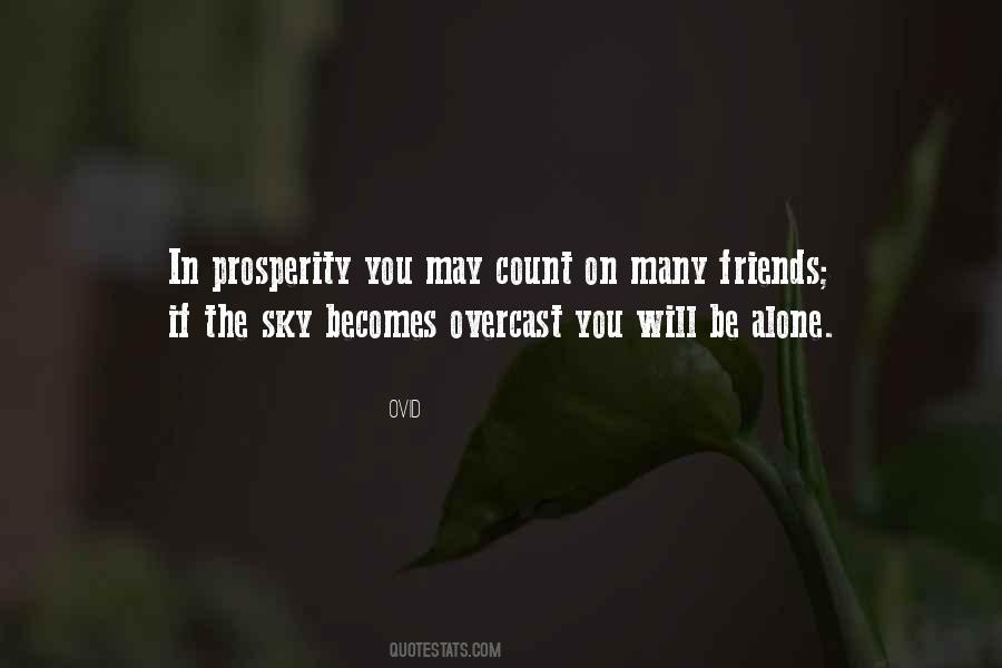 Quotes About Many Friends #1779873