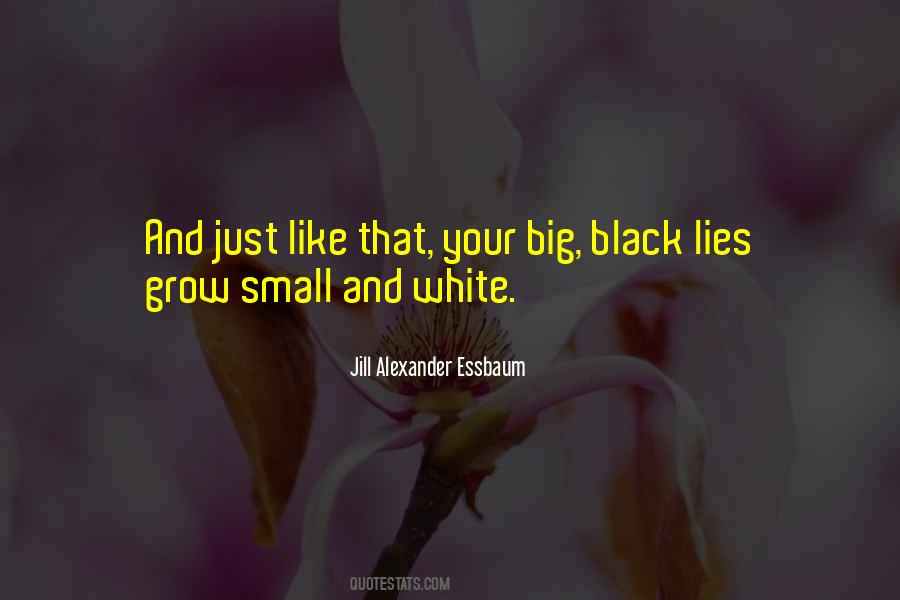 Quotes About Small Lies #1490830
