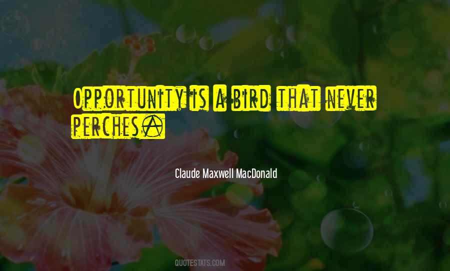 Perches Quotes #408023