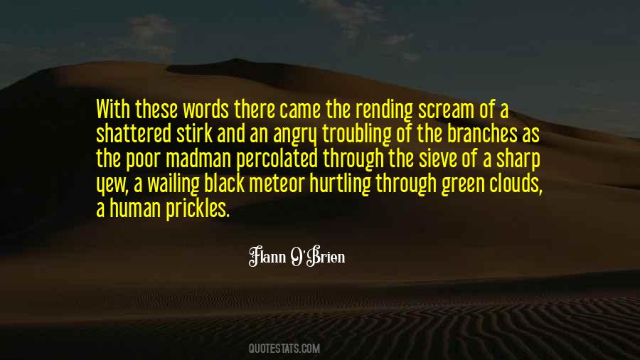 Percolated Quotes #1334112