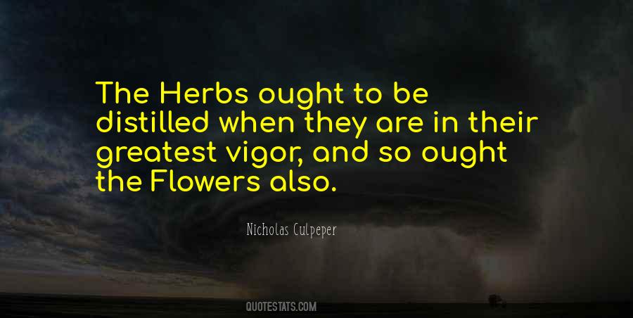 Quotes About Vigor #1029780