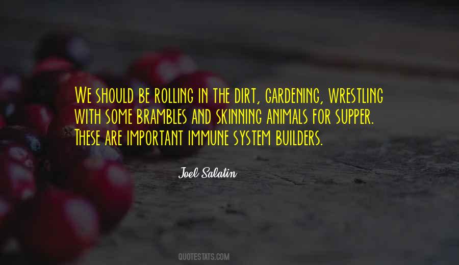 Quotes About Builders #571126