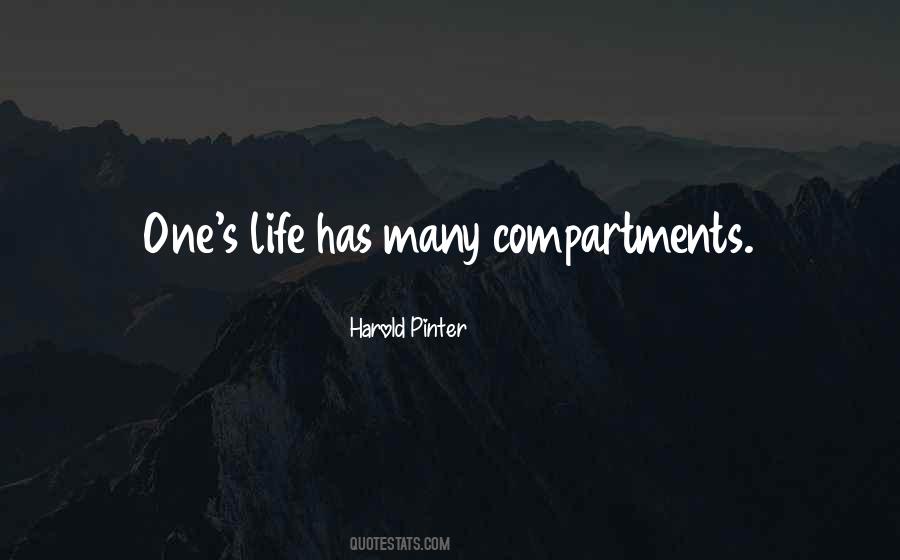 Pinter Quotes #1123598