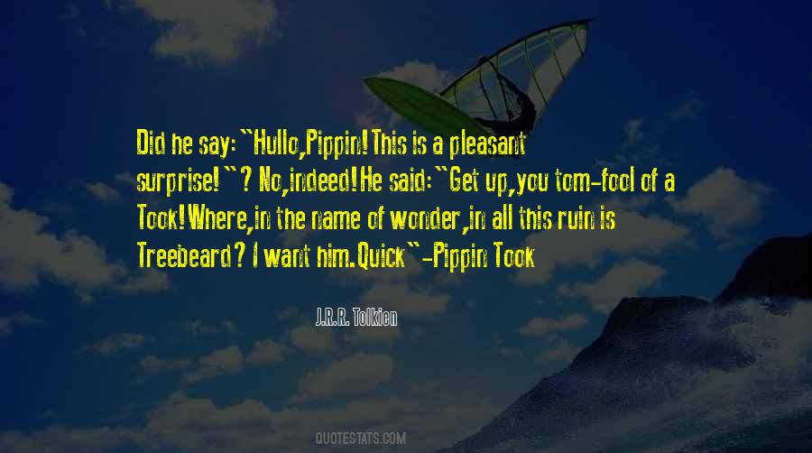 Pippin's Quotes #90968