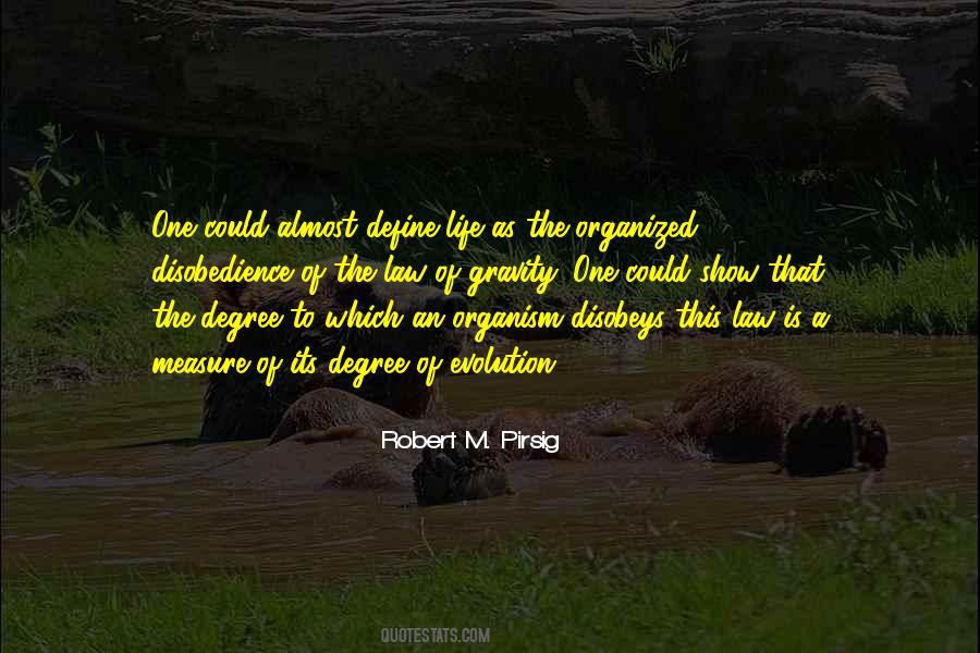 Pirsig Quotes #152409