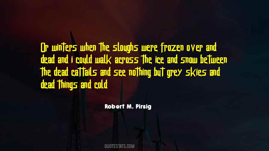 Pirsig Quotes #226241