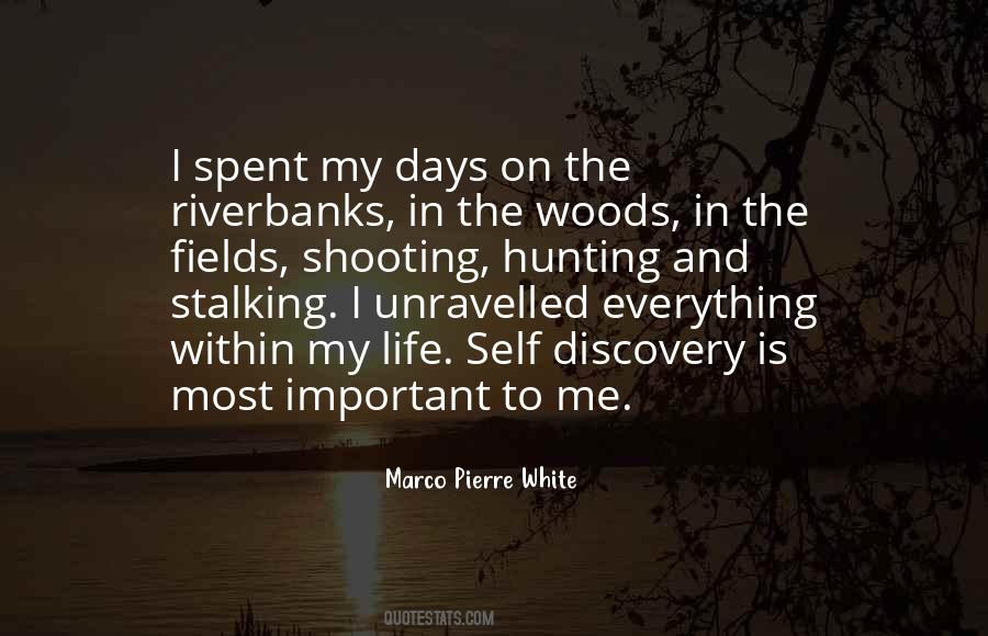 Quotes About Life In The Woods #823548