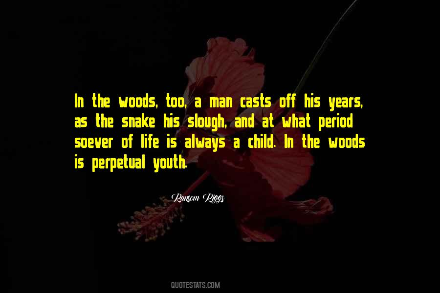 Quotes About Life In The Woods #945791