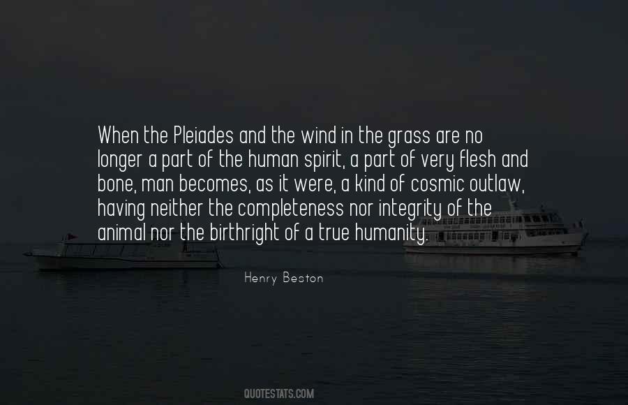 Pleiades Quotes #60724
