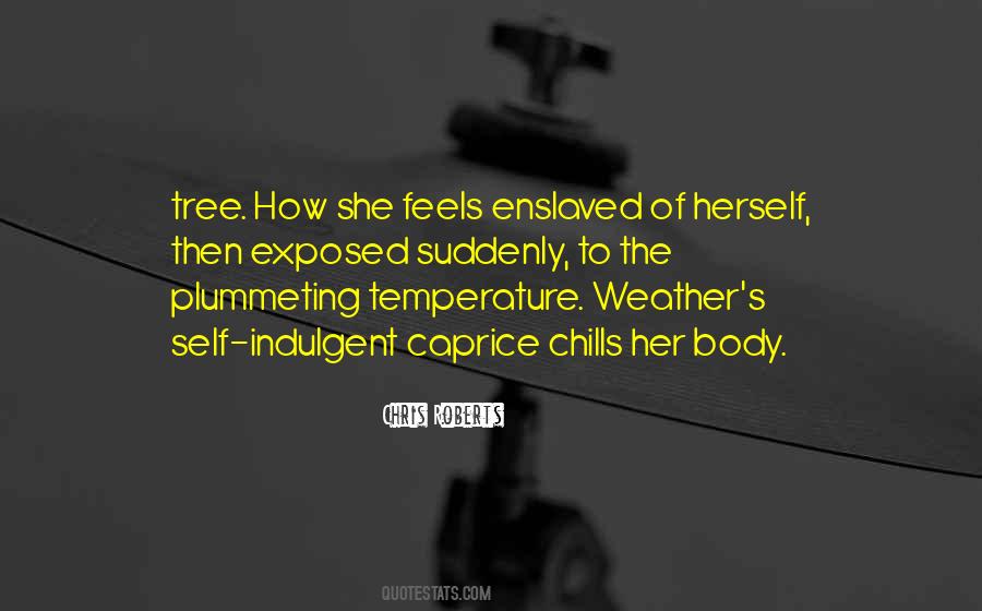 Plummeting Quotes #1439500