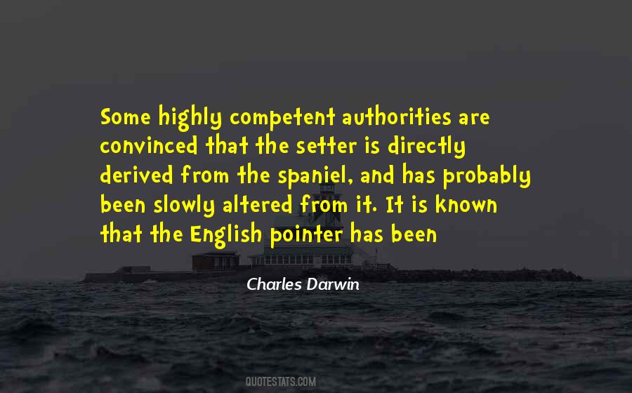 Pointer Quotes #704108