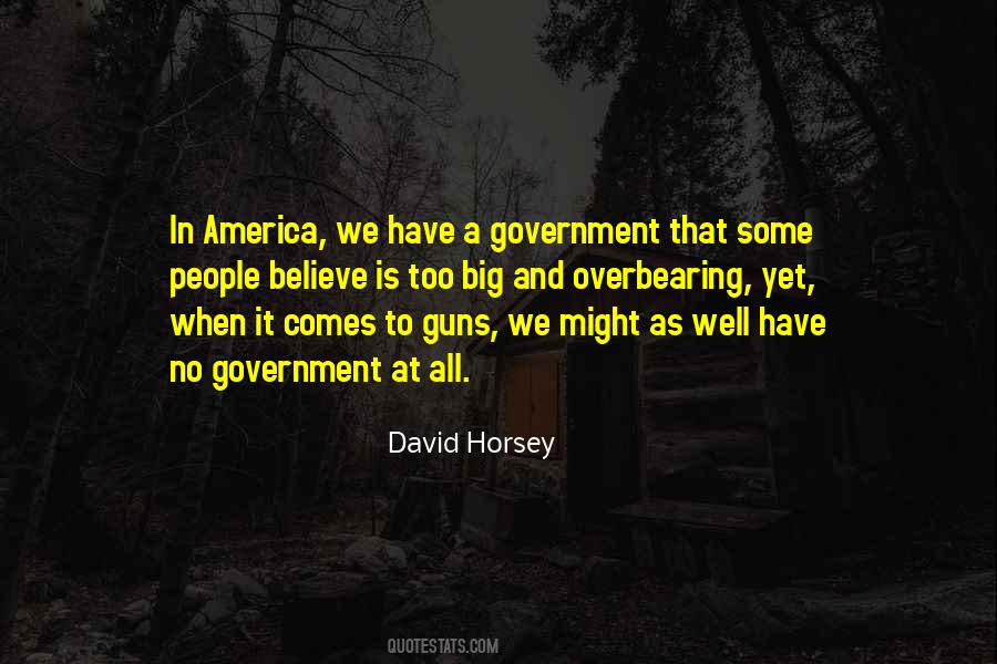 Quotes About No Government #1067996