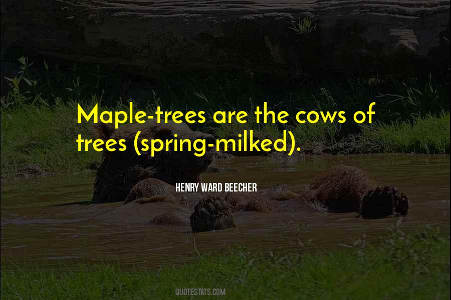 Quotes About Maple Trees #1603105