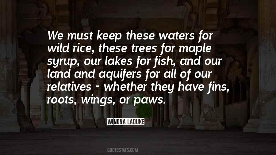 Quotes About Maple Trees #718340