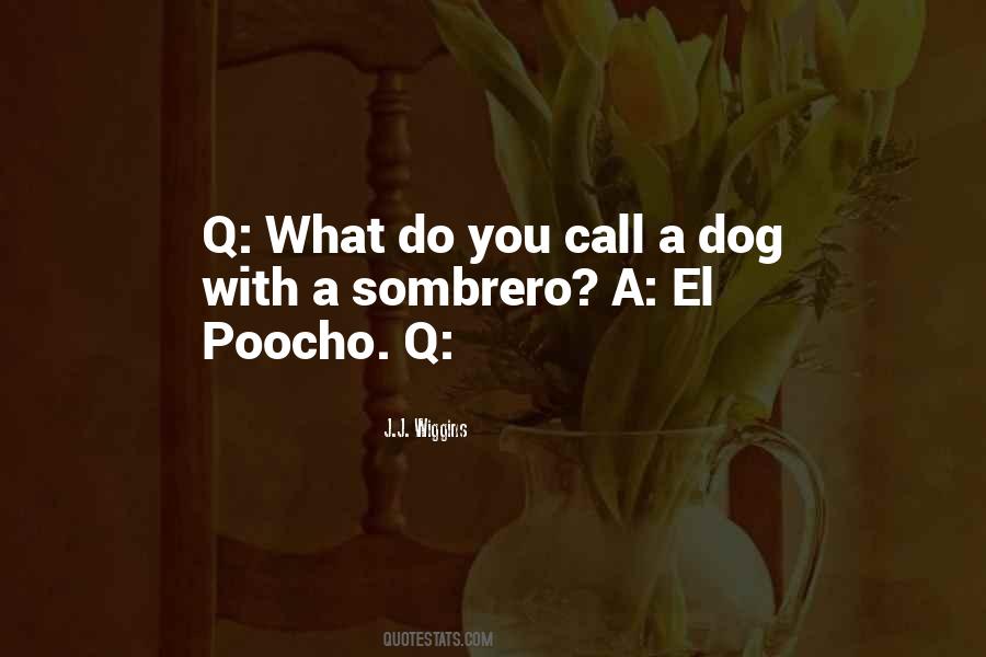 Poocho Quotes #1356457