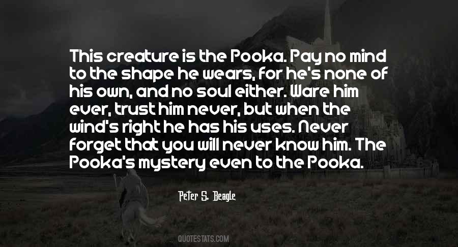 Pooka's Quotes #1740534