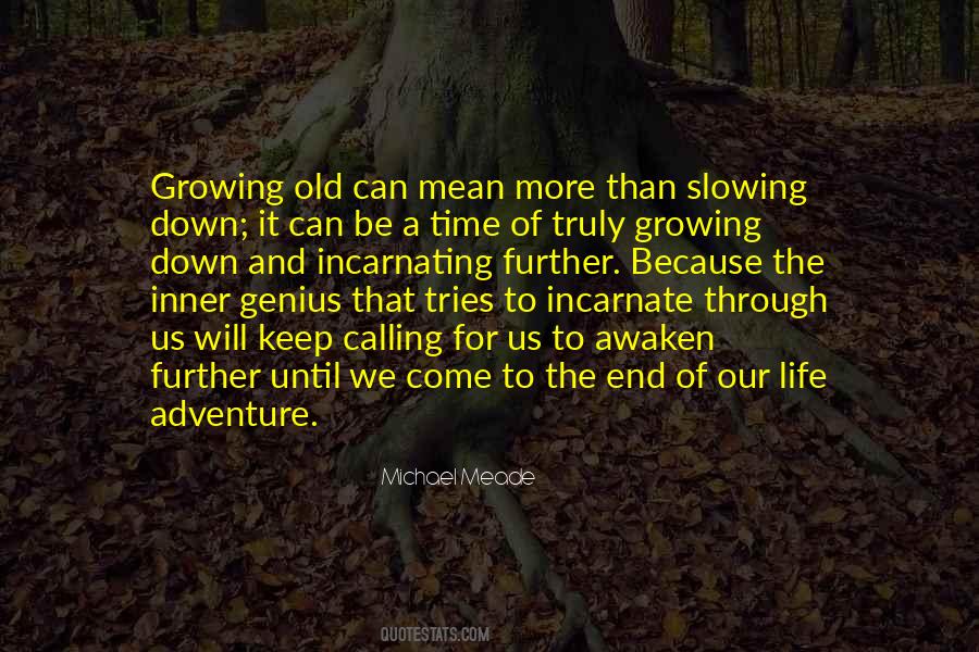 Quotes About Slowing #821389