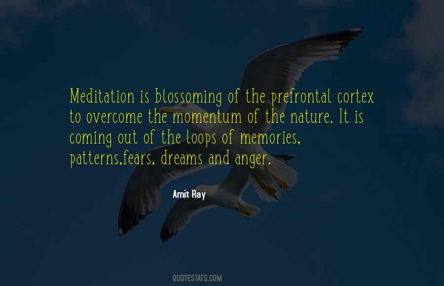 Prefrontal Quotes #614003