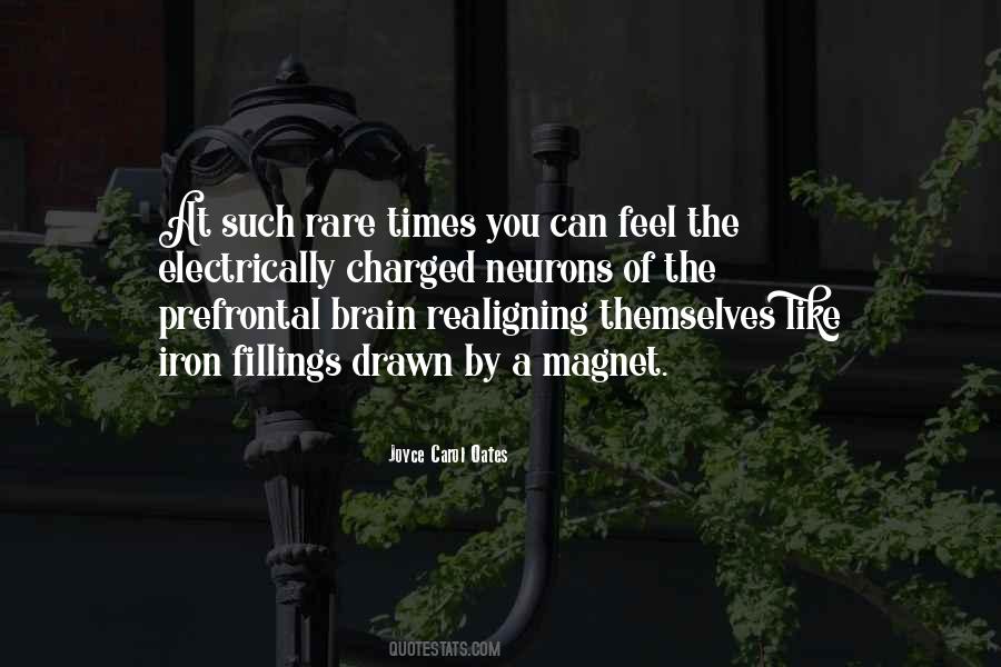 Prefrontal Quotes #895204