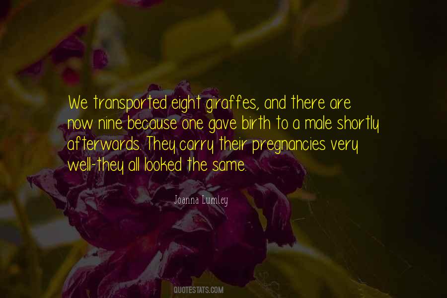 Pregnancies Quotes #1818359