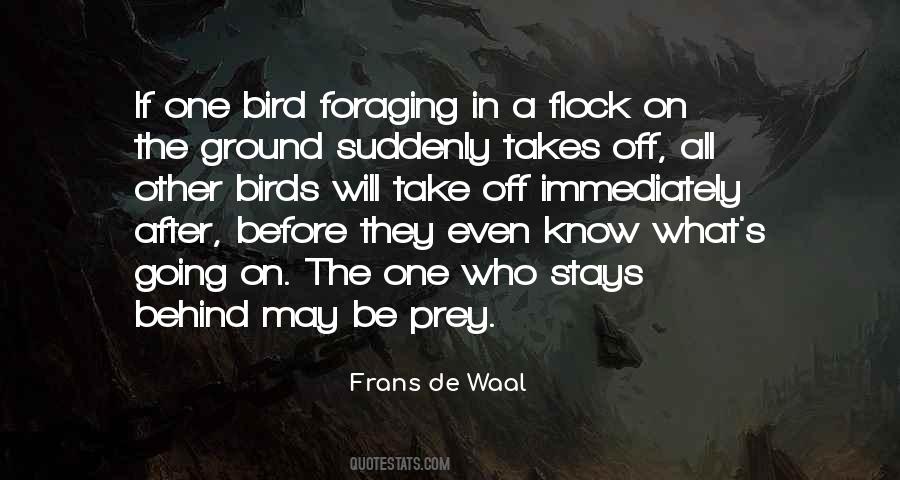 Prey's Quotes #377074