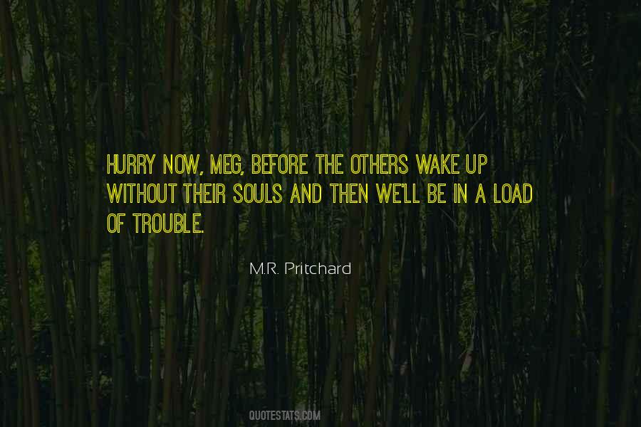 Pritchard's Quotes #1496019