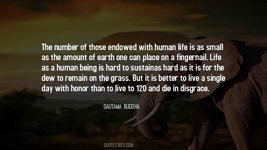 Provincially Quotes #279297