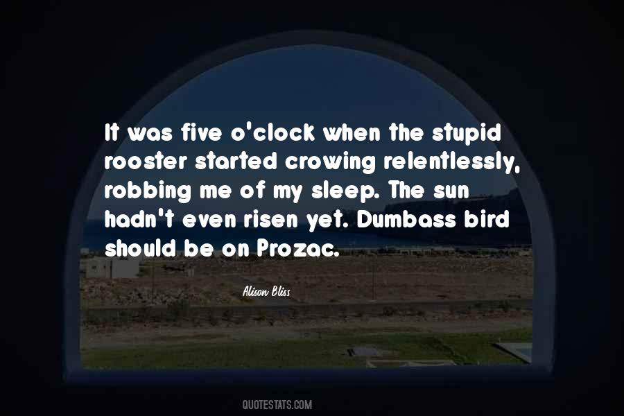 Prozac's Quotes #1033037