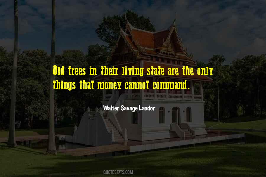 Quotes About Money Tree #77863