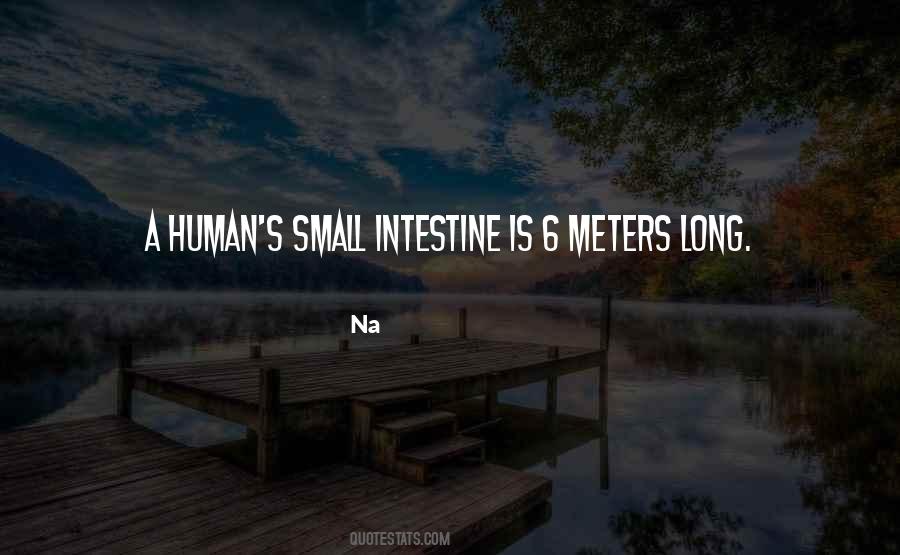 Quotes About Meters #1347432