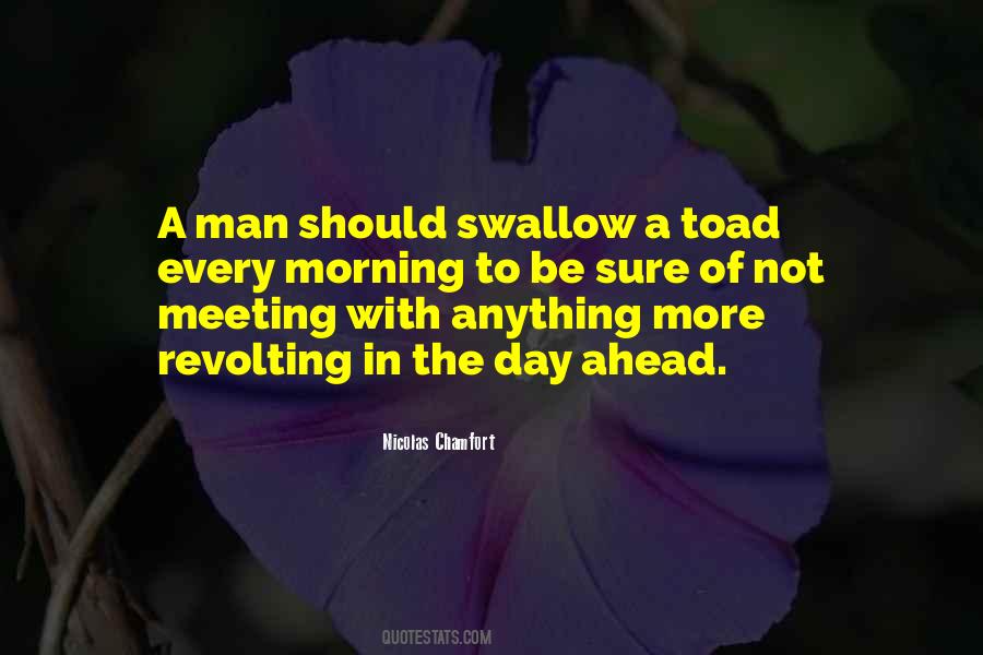 Quotes About Toads #4107