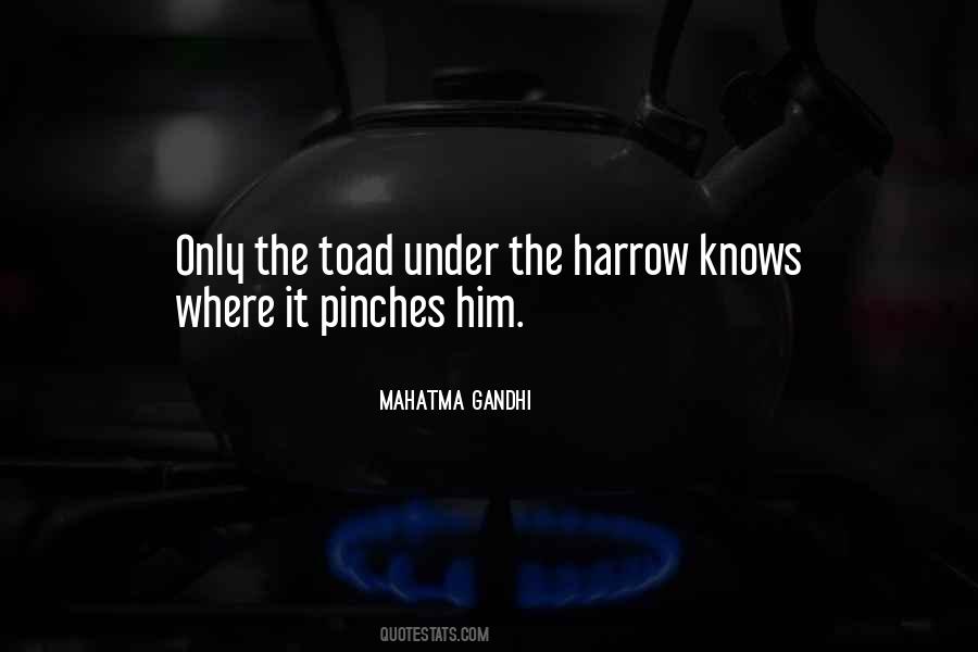 Quotes About Toads #98012