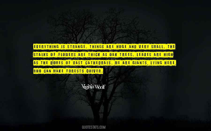 Quiver's Quotes #967516