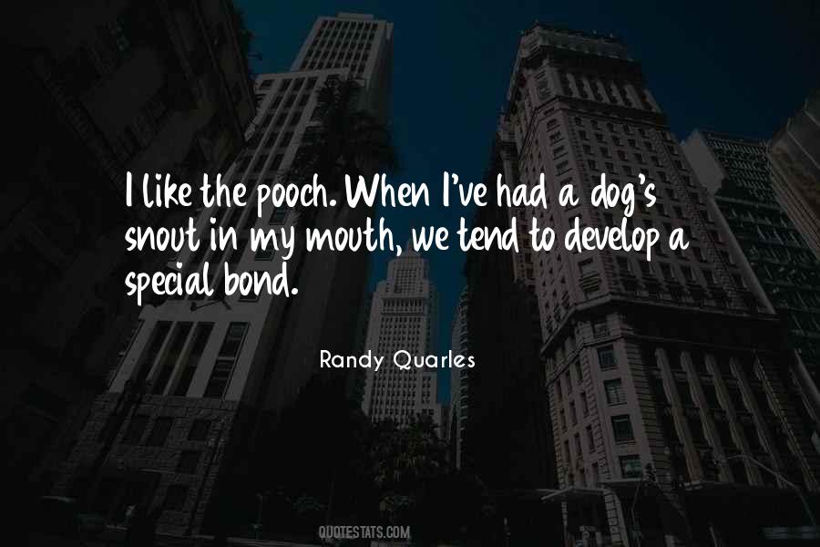 Randy's Quotes #62403