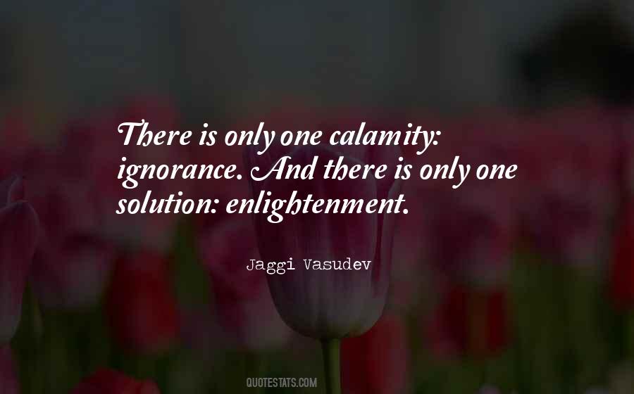 Quotes About Calamity #1282965