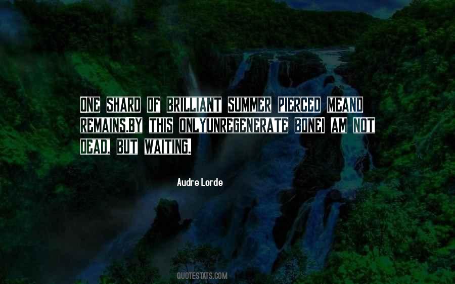 Quotes About Waiting For Summer #407055
