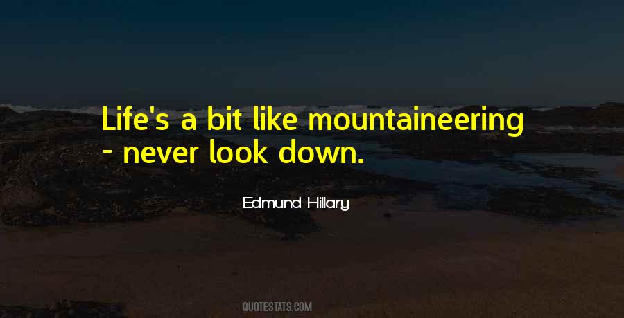 Quotes About Mountaineering #151515