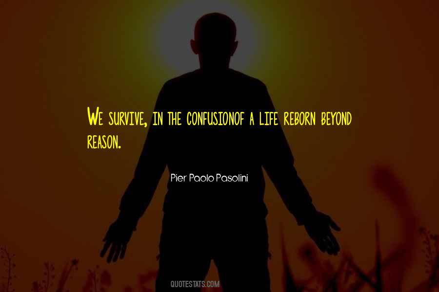 Reborn's Quotes #43246