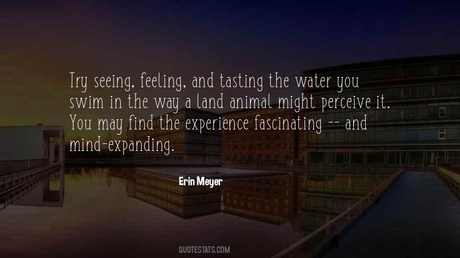 Quotes About Self Understanding #105719