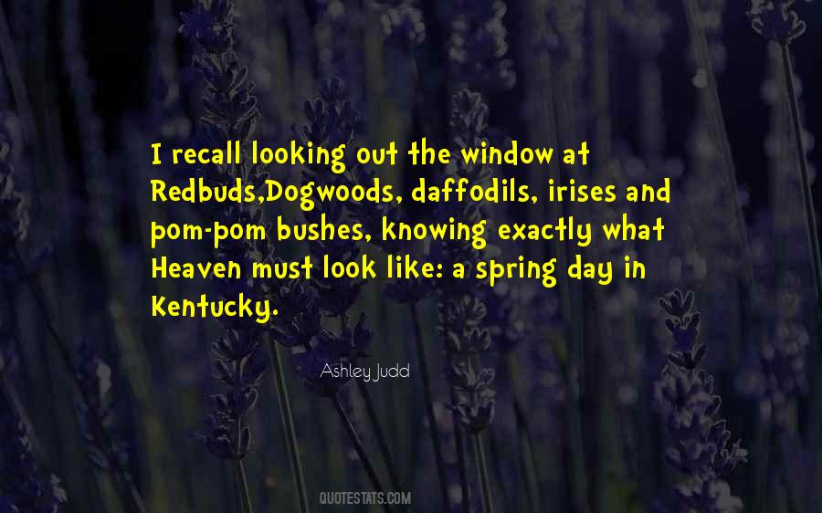 Redbuds Quotes #711274