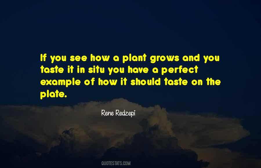 Redzepi Quotes #1194865