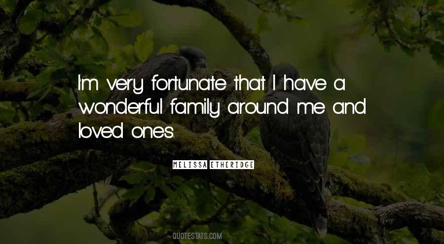 Quotes About Wonderful Family #118797